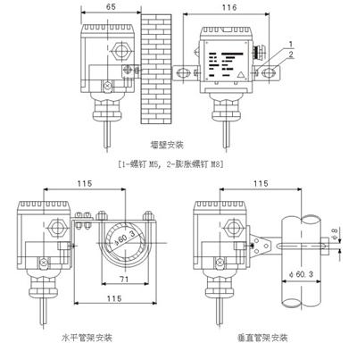 投入式液位计的结构及安装尺寸